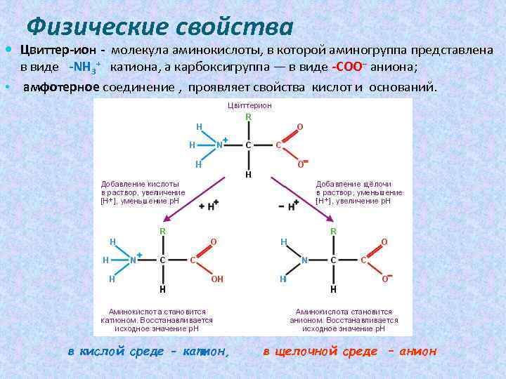 Физические свойства аминокислот презентация