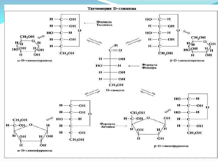 Рибоза реакция гидролиза. Таутомерия Глюкозы. Таутомерия моносахаридов. Таутомерия d-Глюкозы. Таутомерные формы д галактозы.