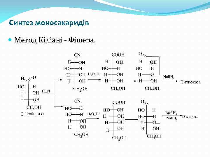 Синтез моносахаридів Метод Кіліані - Фішера. 