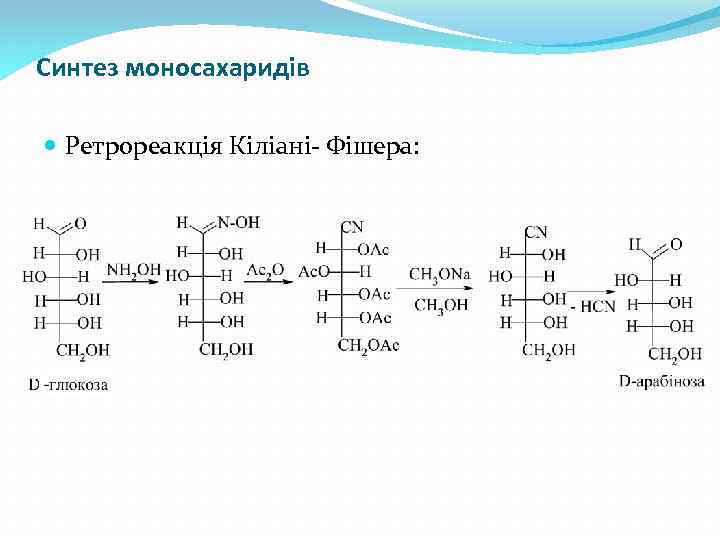 Синтез моносахаридів Ретрореакція Кіліані- Фішера: 