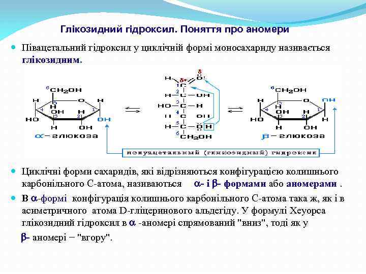 Глікозидний гідроксил. Поняття про аномери Півацетальний гідроксил у циклічній формі моносахариду називається глікозидним. Циклічні