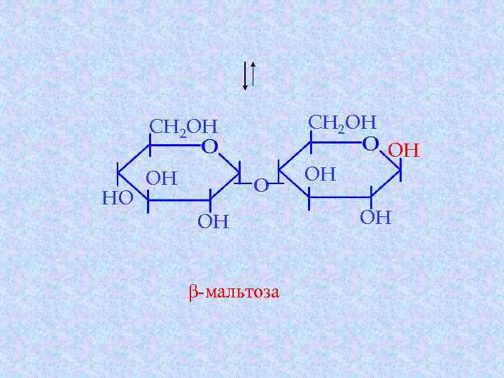 Схема реакции гидролиза мальтозы
