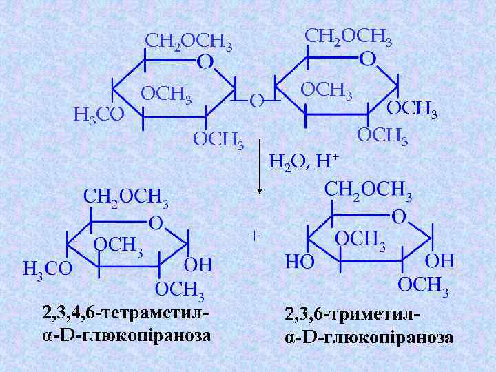 CH 2 OCH 3 H 3 CO CH 2 OCH 3 O OCH 3