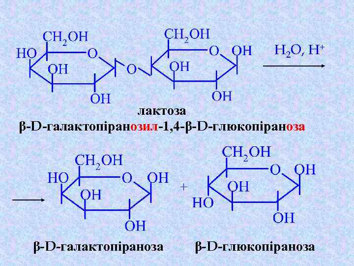 H 2 O, H+ лактоза β-D-галактопіранозил-1, 4 -β-D-глюкопіраноза + β-D-галактопіраноза β-D-глюкопіраноза 