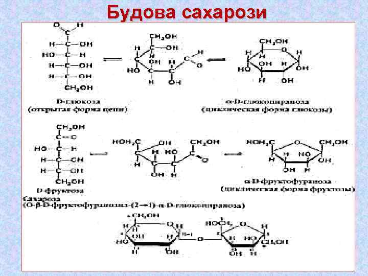 Будова сахарози Назва: 