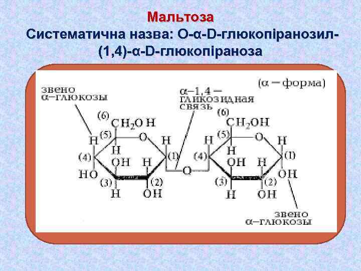 Мальтоза Систематична назва: О-α-D-глюкопіранозил(1, 4)-α-D-глюкопіраноза 