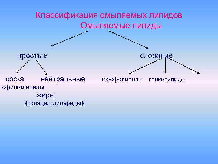 Липиды воска. Классификация омыляемых липидов. Сложные омыляемые липиды классификация. Простые липиды классификация. Простые омыляемые липиды жиры.