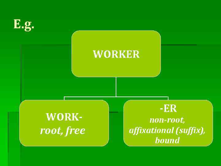 E. g. WORKER WORKroot, free -ER non-root, affixational (suffix), bound 