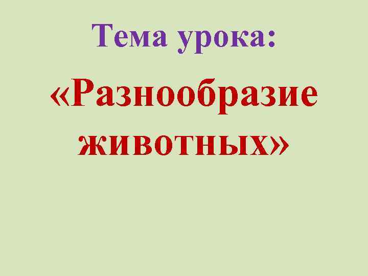 Тема урока: «Разнообразие животных» 