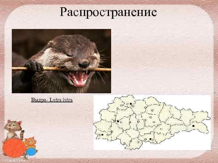 Распространение Выдра Lutra lutra 