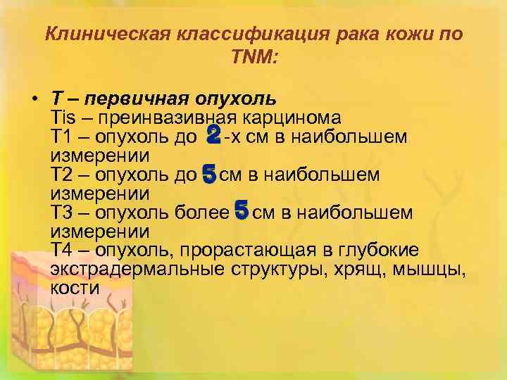 Клиническая классификация рака кожи по TNM: • Т – первичная опухоль Тis – преинвазивная