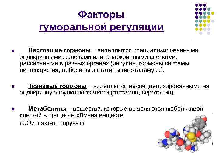 Факторы гуморальной регуляции l Настоящие гормоны – виделяются специализированными эндокринными железами или эндокринными клетками,