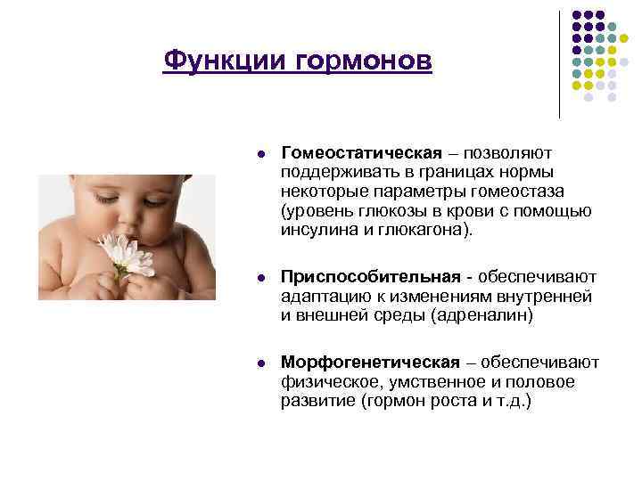 Функции гормонов l Гомеостатическая – позволяют поддерживать в границах нормы некоторые параметры гомеостаза (уровень