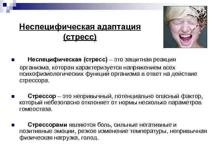 Неспецифическая адаптация (стресс) n Неспецифическая (стресс) – это защитная реакция организма, которая характеризуется напряжением