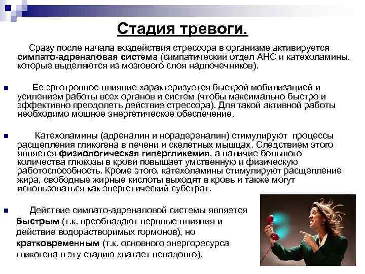 Стадия тревоги. Сразу после начала воздействия стрессора в организме активируется симпато-адреналовая система (симпатический отдел