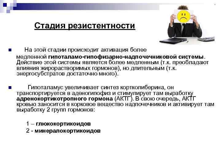 Стадия резистентности n На этой стадии происходит активация более медленной гипоталамо-гипофизарно-надпочечниковой системы. Действие этой