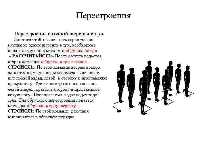 Перестроения Перестроение из одной шеренги в три. Для того чтобы выполнить перестроение группы из