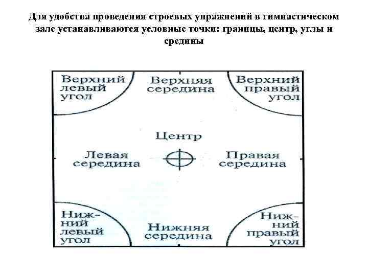 Для удобства проведения строевых упражнений в гимнастическом зале устанавливаются условные точки: границы, центр, углы