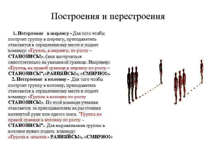 Построения и перестроения 1. Построение в шеренгу - Для того чтобы построит группу в