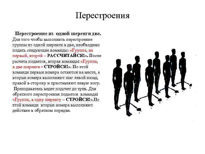 Перестроения Перестроение из одной шеренги две. Для того чтобы выполнить перестроение группы из одной