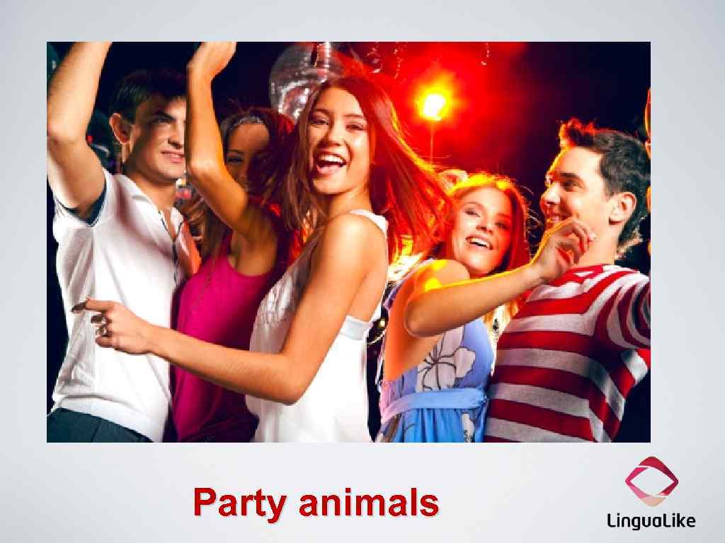 Party animals 