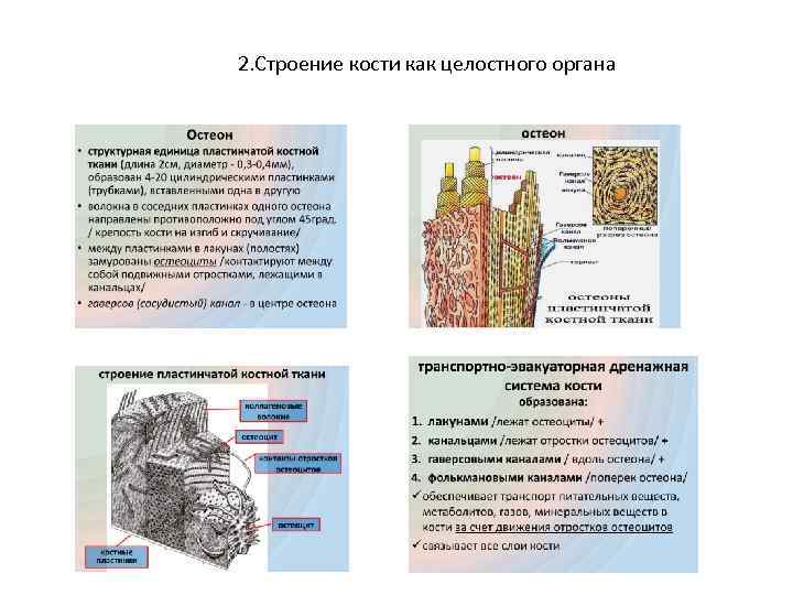 Проект 8 класс структура