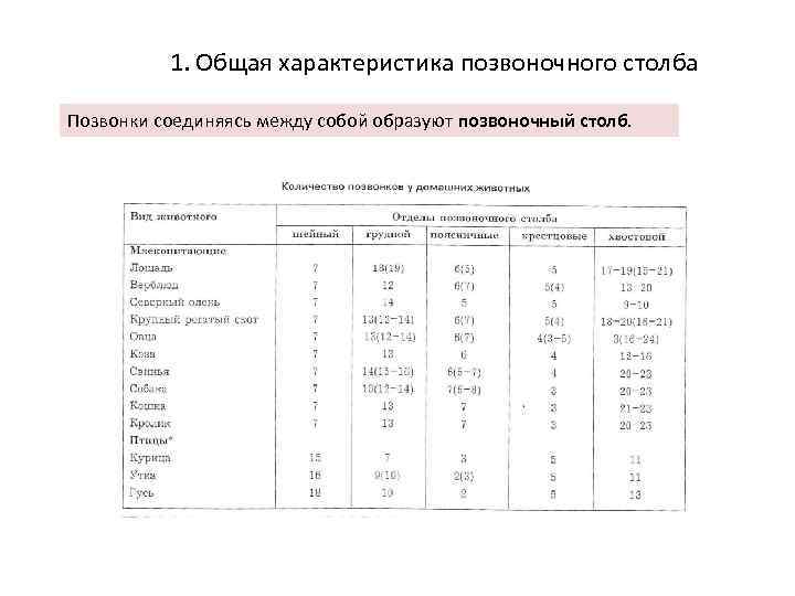 1. Общая характеристика позвоночного столба Позвонки соединяясь между собой образуют позвоночный столб. 