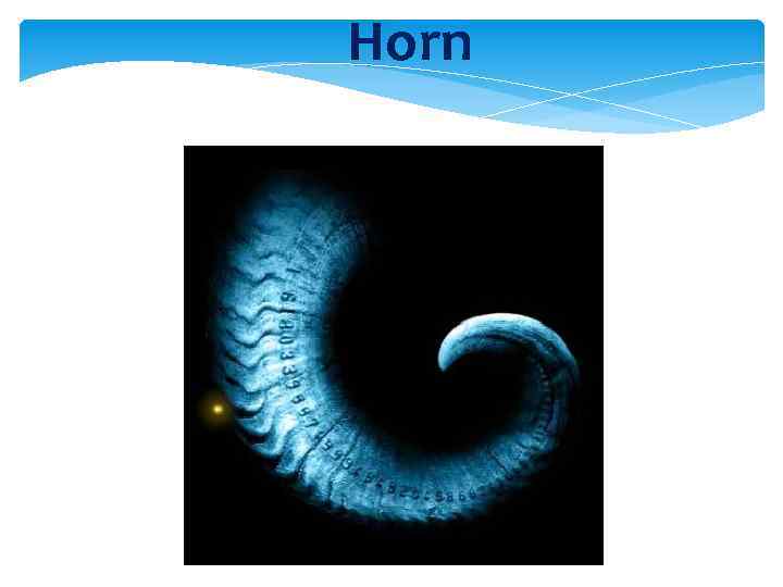 Horn 