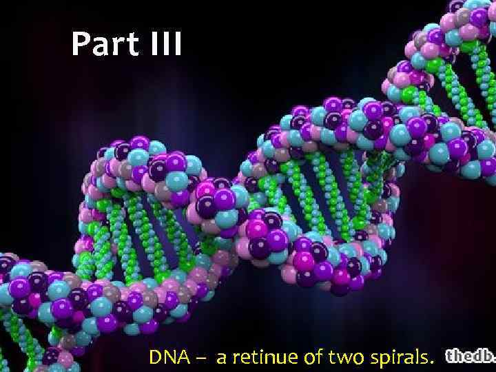 Part III Human DNA - a retinue of two spirals. DNA – a retinue