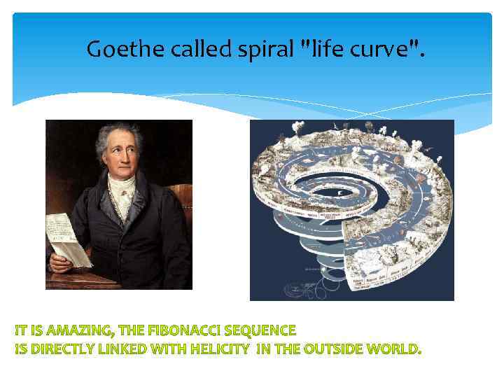 Goethe called spiral 