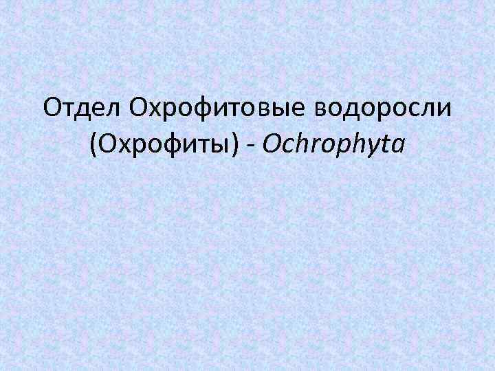 Отдел Охрофитовые водоросли (Охрофиты) - Ochrophyta 