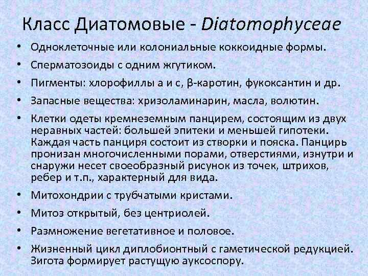 Класс Диатомовые - Diatomophyceae • • • Одноклеточные или колониальные коккоидные формы. Сперматозоиды с