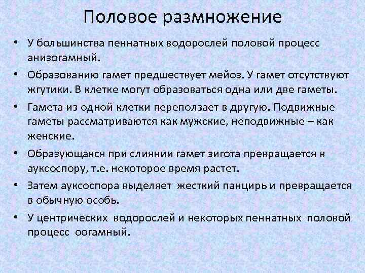 Половое размножение • У большинства пеннатных водорослей половой процесс анизогамный. • Образованию гамет предшествует