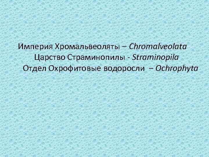 Империя Хромальвеоляты – Chromalveolata Царство Страминопилы - Straminopila Отдел Охрофитовые водоросли – Ochrophyta 