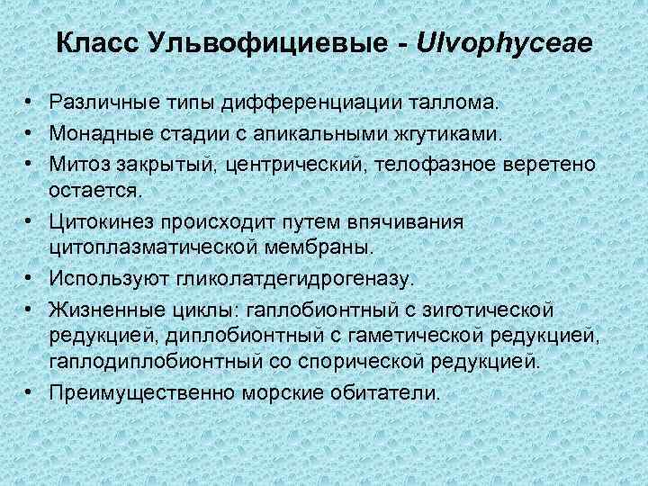 Класс Ульвофициевые - Ulvophyceae • Различные типы дифференциации таллома. • Монадные стадии с апикальными