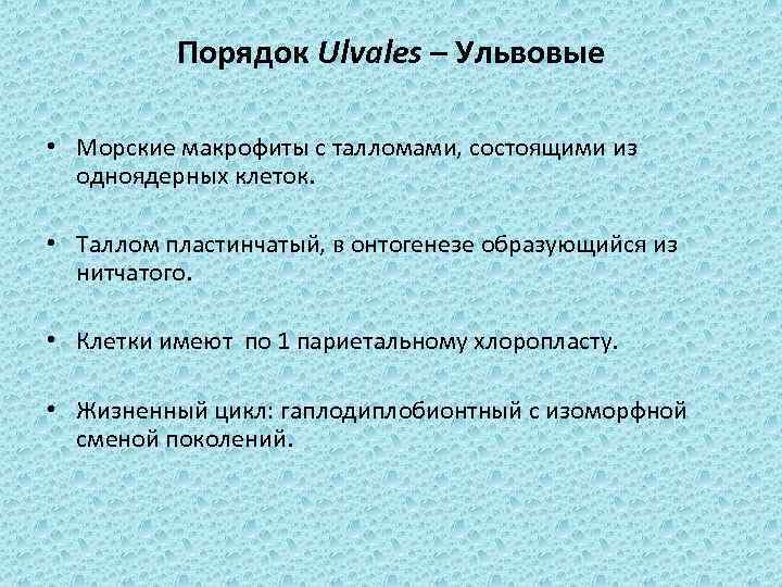 Порядок Ulvales – Ульвовые • Морские макрофиты с талломами, состоящими из одноядерных клеток. •