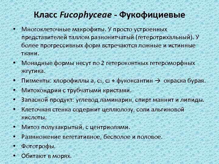 Класс Fucophyceae - Фукофициевые • Многоклеточные макрофиты. У просто устроенных представителей таллом разнонитчатый (гетеротрихальный).