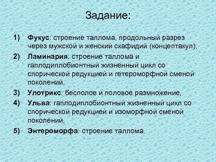 Задание: 1) 2) 3) 4) 5) Фукус: строение таллома, продольный разрез через мужской и