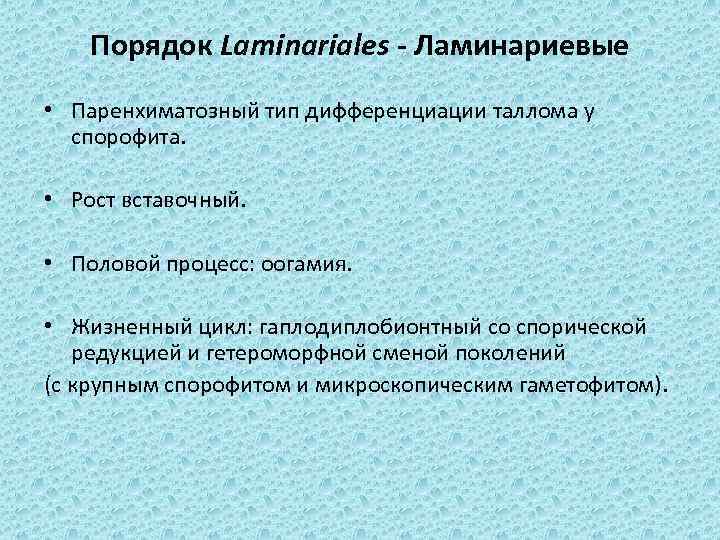 Порядок Laminariales - Ламинариевые • Паренхиматозный тип дифференциации таллома у спорофита. • Рост вставочный.