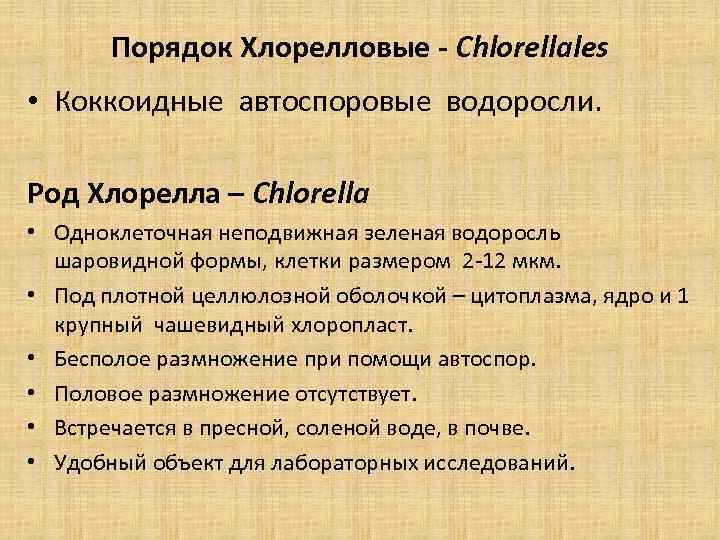 Порядок Хлорелловые - Chlorellales • Коккоидные автоспоровые водоросли. Род Хлорелла – Chlorella • Одноклеточная