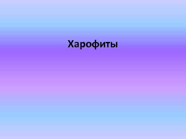 Харофиты 