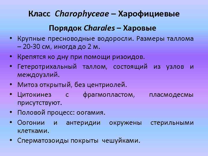 Класс Charophyceae – Харофициевые Порядок Charales – Харовые • Крупные пресноводные водоросли. Размеры таллома