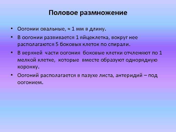 Половое размножение • Оогонии овальные, ≈ 1 мм в длину. • В оогонии развивается