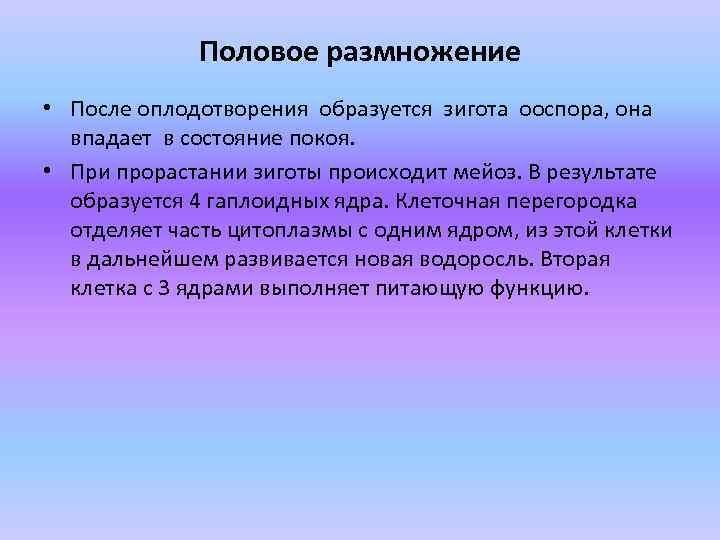 Половое размножение • После оплодотворения образуется зигота ооспора, она впадает в состояние покоя. •