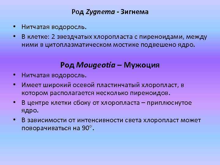 Род Zygnema - Зигнема • Нитчатая водоросль. • В клетке: 2 звездчатых хлоропласта с