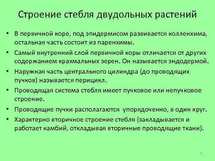 Строение стебля двудольных растений • В первичной коре, под эпидермисом развивается колленхима, остальная часть