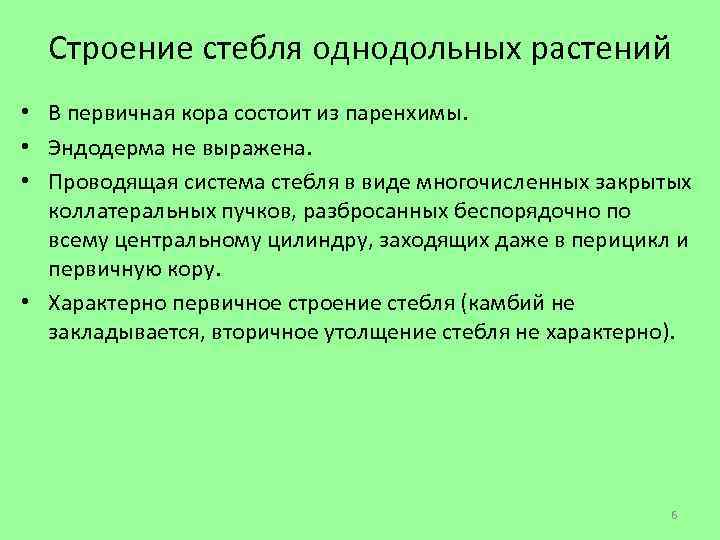 Строение стебля однодольных растений • В первичная кора состоит из паренхимы. • Эндодерма не