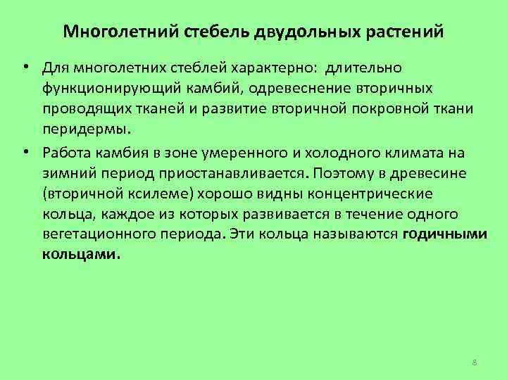 Многолетний стебель двудольных растений • Для многолетних стеблей характерно: длительно функционирующий камбий, одревеснение вторичных