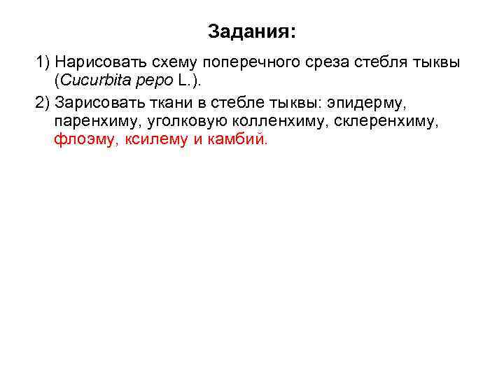 Задания: 1) Нарисовать схему поперечного среза стебля тыквы (Cucurbita pepo L. ). 2) Зарисовать