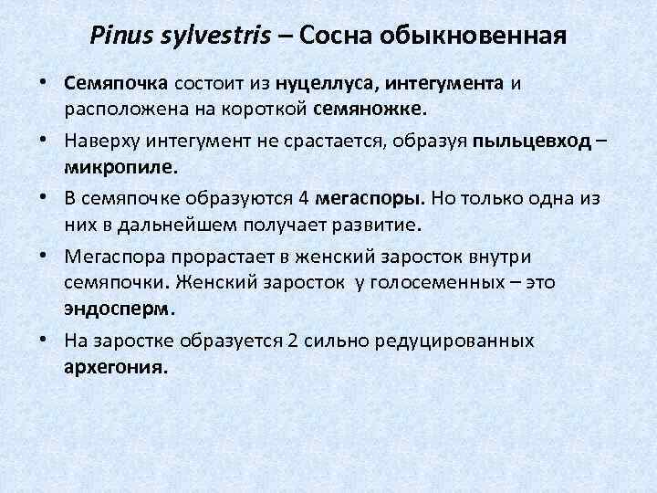 Pinus sylvestris – Сосна обыкновенная • Семяпочка состоит из нуцеллуса, интегумента и расположена на